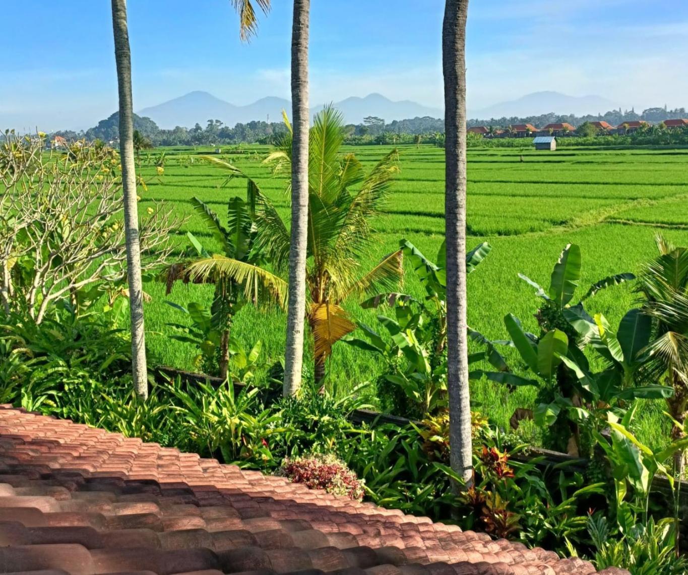 Runa House Of Design Ubud  Bagian luar foto