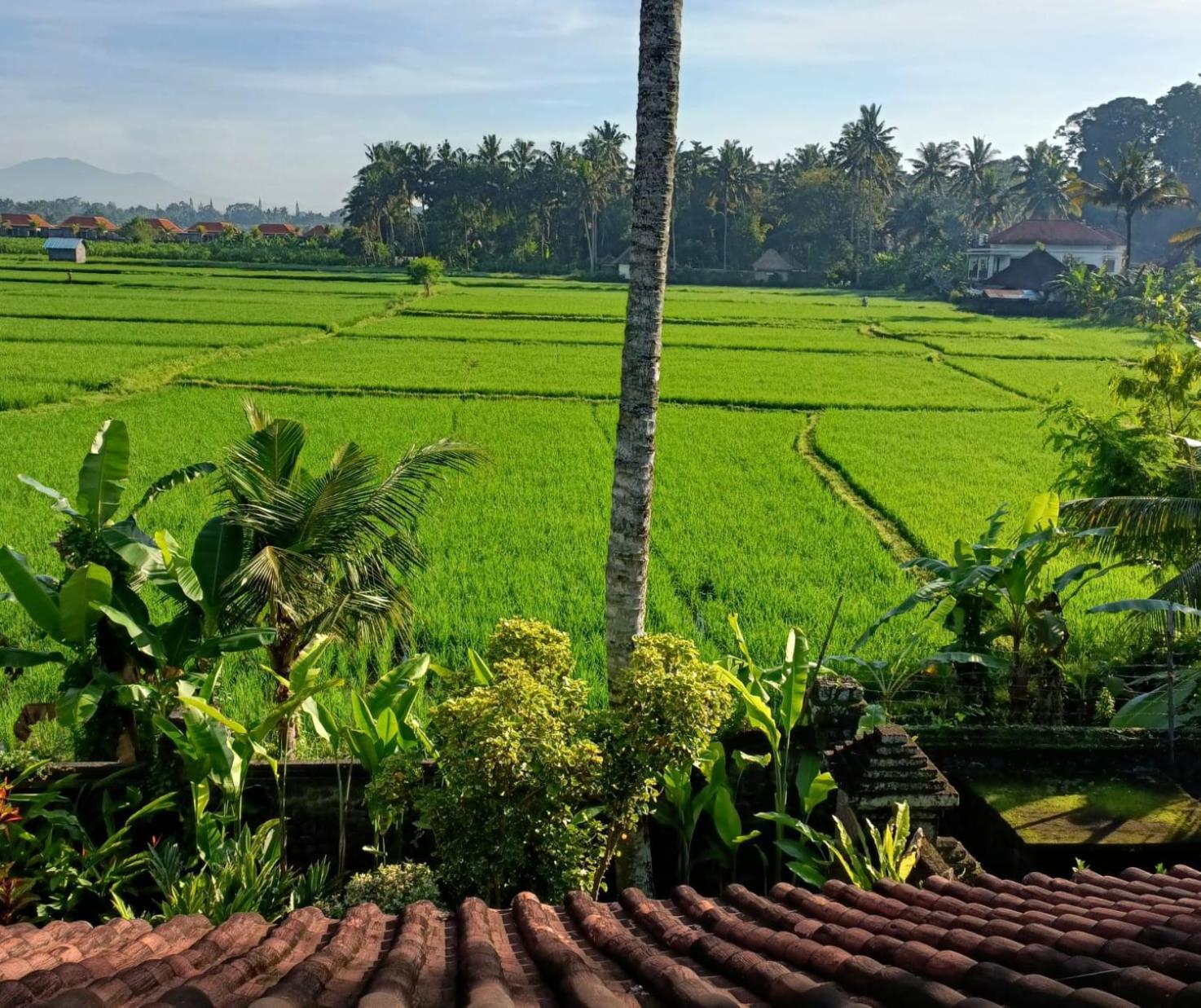 Runa House Of Design Ubud  Bagian luar foto